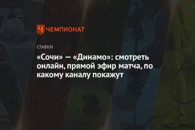 «Сочи» — «Динамо»: смотреть онлайн, прямой эфир матча, по какому каналу покажут - cryptos.tv - Россия - Сочи