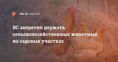 ВС запретил держать сельскохозяйственных животных на садовых участках - ren.tv - Волгоградская обл.