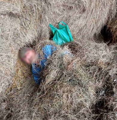 Вблизи белорусско-украинской границы задержан прятавшийся на сеновале уроженец Львовской области - naviny.by - Украина - Белоруссия - Львовская обл. - Речица - район Столинский - Пинск