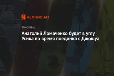 Василий Ломаченко - Александр Усик - Александр Красюк - Анатолий Ломаченко будет в углу Усика во время поединка с Джошуа - championat.com - США - Украина - Лондон