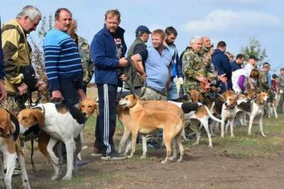 Выставка охотничьих собак прошла в Липецкой области - lipetskmedia.ru - Москва - Тула - Рязань - Липецкая обл.