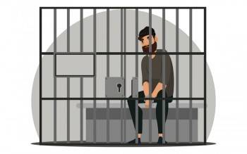 Мать-судья вологодского адвоката, который мастерил пистолеты, покинула свой пост - vologda-poisk.ru - Вологодская обл. - Вологда - Архангельская обл.