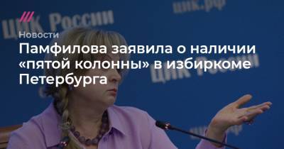 Памфилова заявила о наличии «пятой колонны» в избиркоме Петербурга - tvrain.ru - Санкт-Петербург - Кемеровская обл. - респ. Адыгея - Брянская обл.