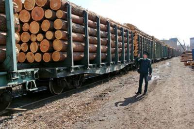 В Костромской области отменен карантин по экспорту леса - kostroma.mk.ru - Костромская обл. - Кострома