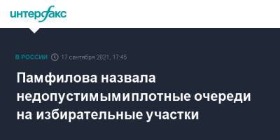 Дмитрий Песков - Элла Памфилова - Памфилова назвала недопустимыми плотные очереди на избирательные участки - interfax.ru - Москва