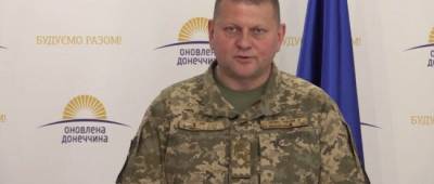Валерий Залужный - Украина закупить у Турции еще 24 ударных беспилотника - w-n.com.ua - Украина - Турция