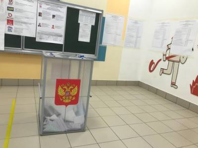 Михаил Федоров - Дмитрий Андреев - В Петербурге полиция задержала членов УИК, устроивших погром на избирательном участке - rosbalt.ru - Санкт-Петербург - район Кировский, Санкт-Петербург