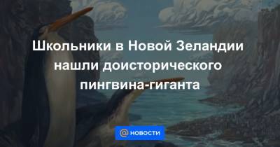 Школьники в Новой Зеландии нашли доисторического пингвина-гиганта - news.mail.ru - Новая Зеландия
