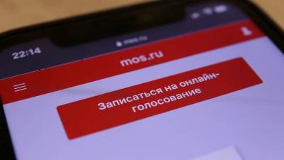 Почти два миллиона бюллетеней было выдано на онлайн-голосовании в Москве - vm.ru - Москва