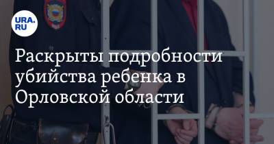 Раскрыты подробности убийства ребенка в Орловской области - ura.news - Орловская обл.