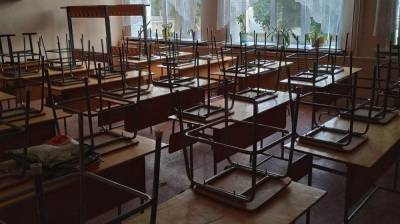 Воронежцы рассказали о введение дистанционки в школах города в дни выборов - vestivrn.ru - Воронеж