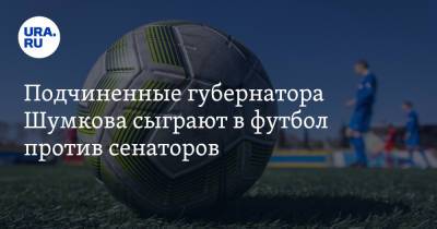 Вадим Шумков - Подчиненные губернатора Шумкова сыграют в футбол против сенаторов - ura.news - Россия - Курганская обл. - Курган