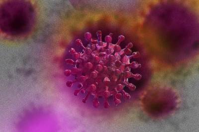 Врач рассказал, у кого может не возникнуть антител к коронавирусу и мира - cursorinfo.co.il