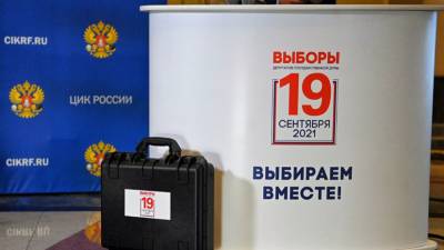 Зампредседателя ТИК ДЭГ рассказал о ситуации с электронным голосованием - russian.rt.com