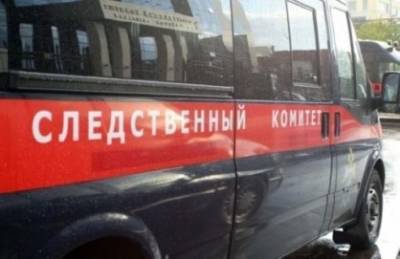 СК организовал проверку по факту избиения студентки техникума - lipetskmedia.ru - Россия - Липецкая обл.
