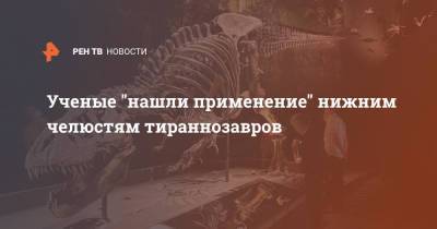 Ученые "нашли применение" нижним челюстям тираннозавров - ren.tv - USA - штат Монтана