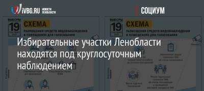 Избирательные участки Ленобласти находятся под круглосуточным наблюдением - ivbg.ru - Украина - Ленинградская обл.