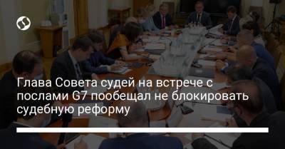 Андрей Костин - Валентина Данишевская - Глава Совета судей на встрече с послами G7 пообещал не блокировать судебную реформу - liga.net - Украина