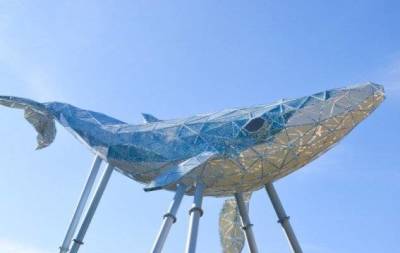 В Украине открыли самую большую скульптуру из переработанного пластика — "Киевский Кит" (ФОТО) - skuke.net - Россия - Украина - Киев - Экология