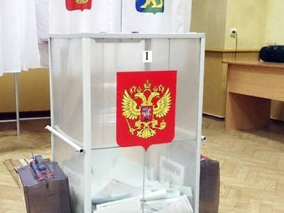 Ирина Фатьянова - В Петербурге задержали парня, который попытался вбросить бюллетени - ukrpost.biz - Россия - Санкт-Петербург
