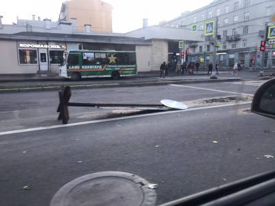 В Петербурге ветер валит светофоры и дорожные знаки, а деревья вырывает с корнем - znak.com - Санкт-Петербург - г. Александрия
