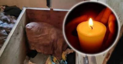Украинская полиция расследует гибель двух детей в Донецкой области - eadaily.com - Украина - район Волновахский - Донецкая обл.