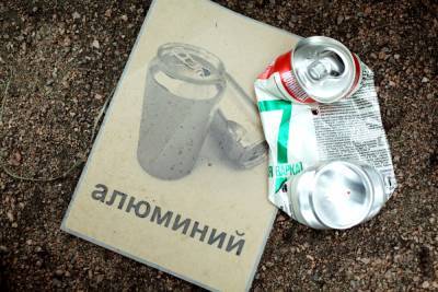 Выживут сильнейшие: как мусорная реформа повлияла на малый бизнес в Ленобласти - abnews.ru - Ленинградская обл.