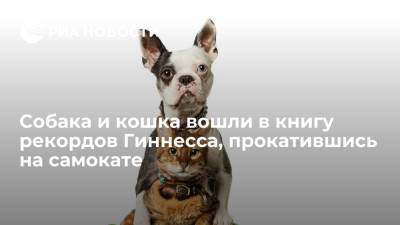 Собака Лоллипоп и кошка Сашими вошли в книгу рекордов Гиннесса, прокатившись на самокате - ria.ru - Англия - Лондон - Канада