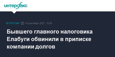 Бывшего главного налоговика Елабуги обвинили в приписке компании долгов - interfax.ru - Москва - респ. Татарстан