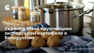 Украина стала крупнейшим экспортером картофеля в Белоруссию за семь месяцев 2021 года - smartmoney.one - Россия - Украина - Египет - Белоруссия - Германия - Македония - Азербайджан