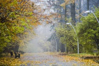 Евгений Тишковец - Синоптик спрогнозировал погоду с «октябрьским характером» в Центральной России - yur-gazeta.ru - Россия