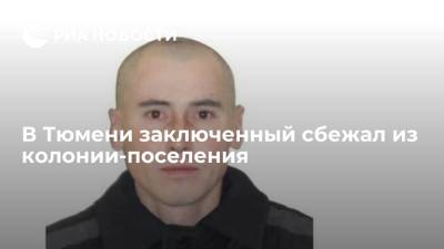 Александр Новиков - Приговоренный к 23 годам за убийство мужчина сбежал из колонии-поселения в Тюмени - ria.ru - Тюмень - Тюменская обл. - Кемерово