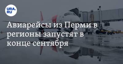 Авиарейсы из Перми в регионы запустят в конце сентября - ura.news - Россия - Махачкала - Челябинск - Пермь - Мурманск - Астрахань - Омск