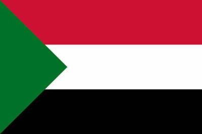 Омар Аль-Башира - СМИ: в Судане произошла неудачная попытка госпереворота - pnp.ru - Судан - г. Хартум
