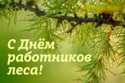 В последний день голосования работники лесопрерабатывающей промышленности отметили свой профпраздник - kostroma.mk.ru - Россия - Костромская обл. - Кострома