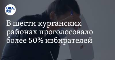 В шести курганских районах проголосовало более 50% избирателей - ura.news - Курганская обл.