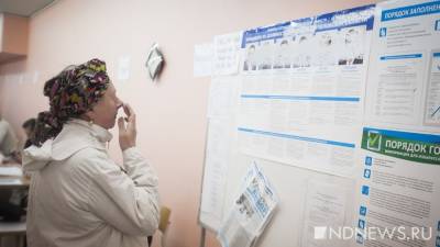 «Не знаю, за кого голосовать, не нравится никто»: предвыборная инструкция для неопределившихся - newdaynews.ru - Свердловская обл.