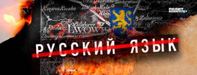 Алексей Арестович - Арестович проговорился: Русскоязычных ущемляют – идите в суд - politnavigator.net - Россия - Украина