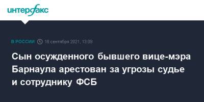 Сын осужденного бывшего вице-мэра Барнаула арестован за угрозы судье и сотруднику ФСБ - interfax.ru - Москва - Барнаул - Алтайский край