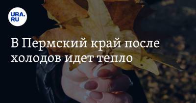 В Пермский край после холодов идет тепло - ura.news - Пермский край