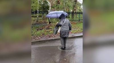 Татьяна Шилова - Педагог попросила отремонтировать дорогу к гимназии № 6 - penzainform.ru - Пенза
