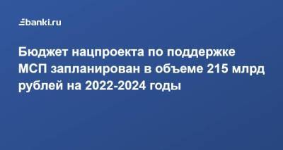 Бюджет нацпроекта по поддержке МСП запланирован в объеме 215 млрд рублей на 2022-2024 годы - smartmoney.one