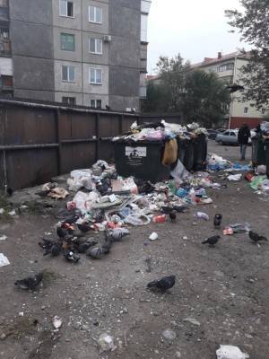 Вадим Шумков - Жители Кургана жалуются, что несвоевременно вывезенным мусором завалило детскую площадку - znak.com - Курганская обл. - Курган