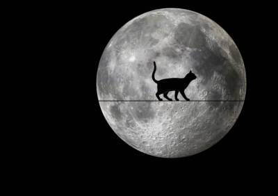 Вирджиния - В Сети опубликовали самый детальный на сегодняшний день снимок поверхности Луны - sharij.net - США