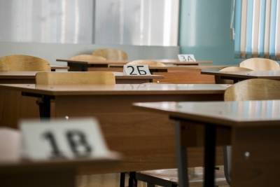 На новую школу с лифтом для особенных детей власти Омска выделили один миллиард рублей - omsk.mk.ru - Омск