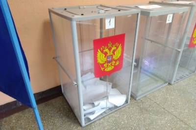 Сергей Марков - Политолог: экстремисты пытаются сфальсифицировать наблюдение за выборами - aif.ru