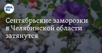 Алексей Текслер - Сентябрьские заморозки в Челябинской области затянутся - ura.news - Челябинская обл.