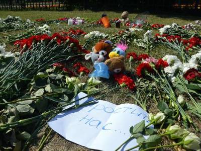 «Россия должна признать вину»: родные жертв катастрофы МН17 выступили в суде - newsland.com - Россия - Голландия - Донбасс