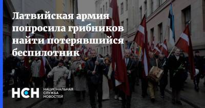 Латвийская армия попросила грибников найти потерявшийся беспилотник - nsn.fm - Латвия
