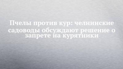 Пчелы против кур: челнинские садоводы обсуждают решение о запрете на курятники - chelny-izvest.ru - Волгоград